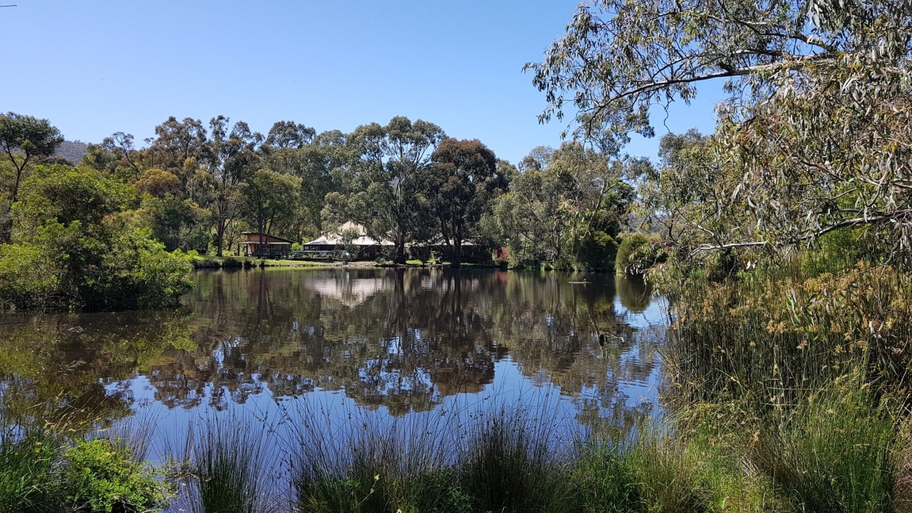 The Burrow at Wombat Bend image